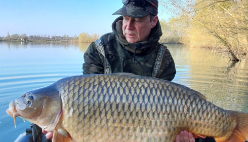 A carp from Fullys Lake, Mar 2026