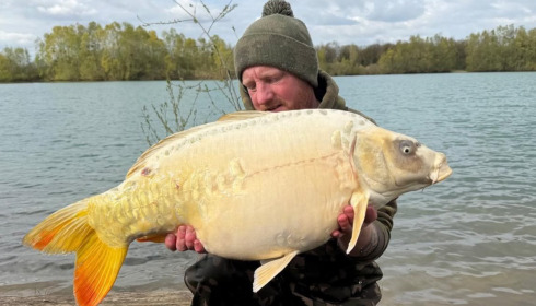 A carp from Fullys Lake, Apr 2026