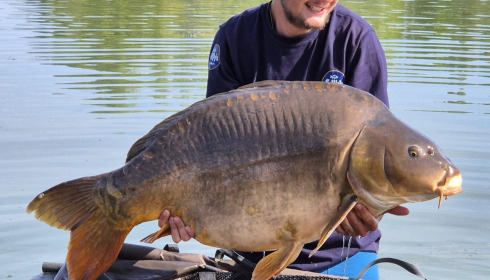 A carp from Fullys Lake, Jul 2026