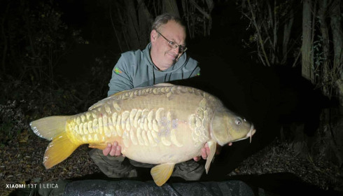 A carp from Fullys Lake, Nov 2025