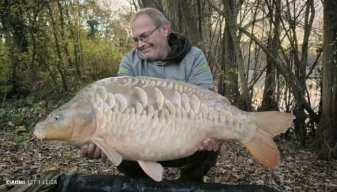 A carp from Fullys Lake, Nov 2025