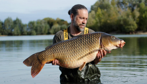 A 52 lb 8 oz carp from Fullys Lake, Pink washed out spinner, Sep 2026