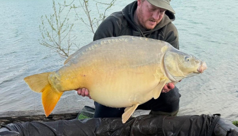 A carp from Fullys Lake, Apr 2026