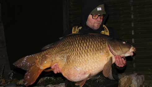A carp from Sky Lake, Dec 2025