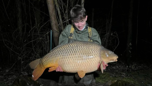 A carp from Sky Lake, Feb 2026
