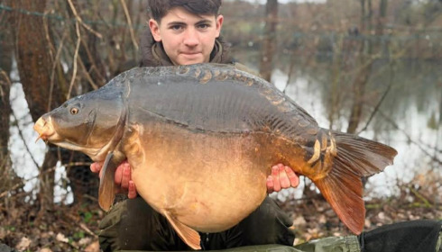 A carp from Sky Lake, Feb 2026