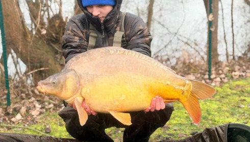 A carp from Sky Lake, Feb 2026