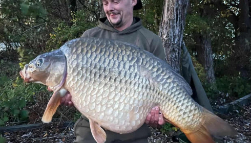 A carp from Sky Lake, Nov 2025