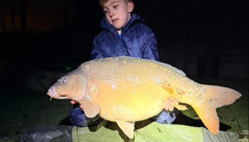 A carp from Sky Lake, Feb 2026