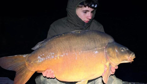 A carp from Sky Lake, Feb 2026
