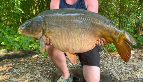 A carp from Sky Lake, Jul 2026