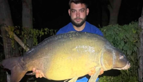 A carp from Sky Lake, Sep 2026