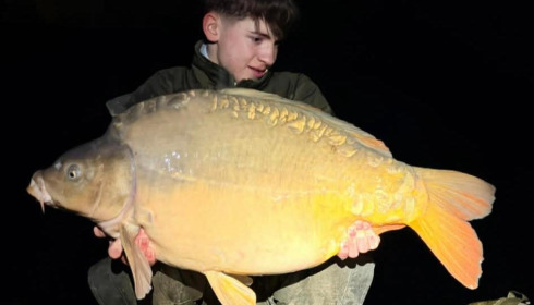 A carp from Sky Lake, Feb 2026