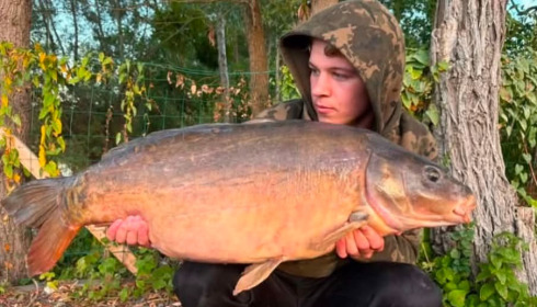 A carp from Sky Lake, Sep 2026