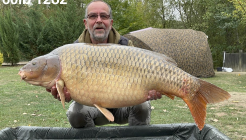 A 60 lb 12 oz carp from Sky Lake, New PB common, Oct 2026