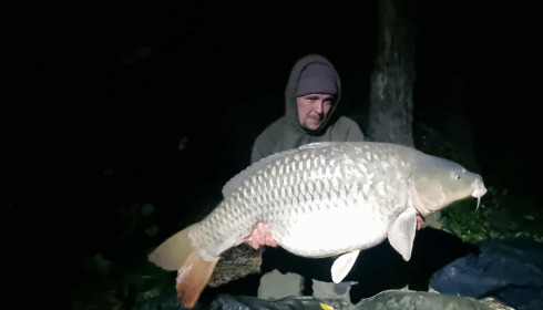 A carp from Sky Lake, Nov 2025