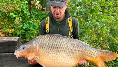A carp from Sky Lake, Sep 2026