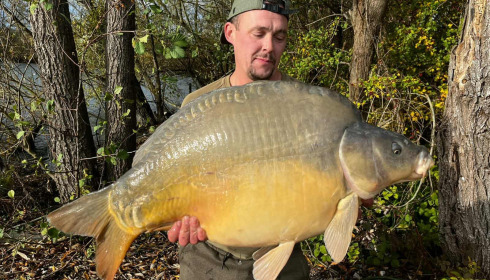 A carp from Sky Lake, Nov 2025