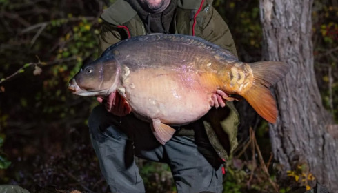 A 46 lb carp from Sky Lake, Nov 2025