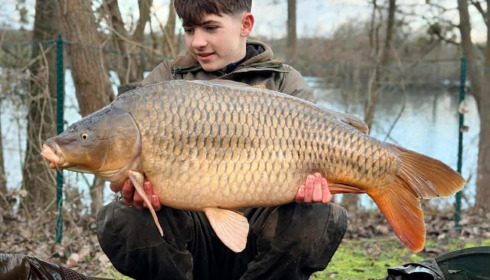 A carp from Sky Lake, Feb 2026