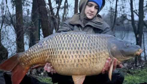 A carp from Sky Lake, Feb 2026