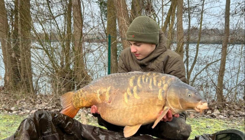 A carp from Sky Lake, Feb 2026