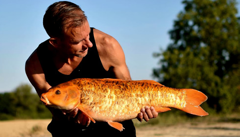 A carp from Heart Lake, Aug 2026