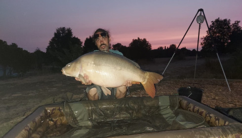 A carp from Heart Lake, Aug 2026