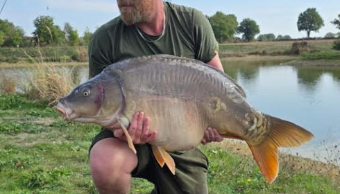 A carp from Heart Lake, Oct 2026