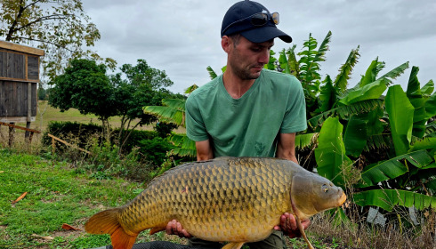 A carp from Heart Lake, Oct 2026