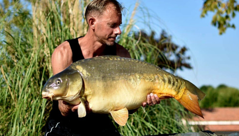 A carp from Heart Lake, Aug 2026