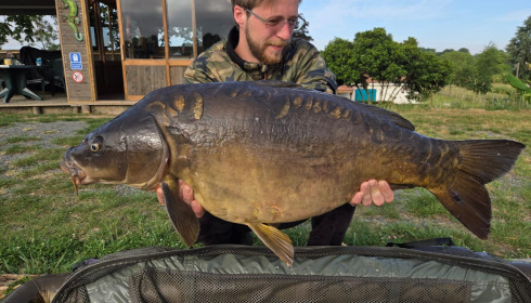 A carp from Heart Lake, Jun 2026