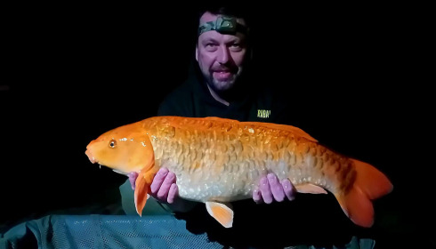 A carp from Heart Lake, Sep 2025