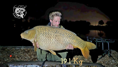A carp from Heart Lake, Jun 2026