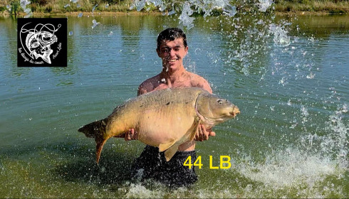 A carp from Heart Lake, Sep 2025