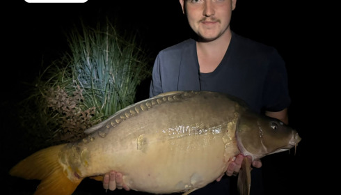 A 36 lb 8 oz carp from Heart Lake, Sep 2026