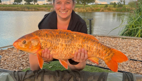 A carp from Heart Lake, Sep 2026
