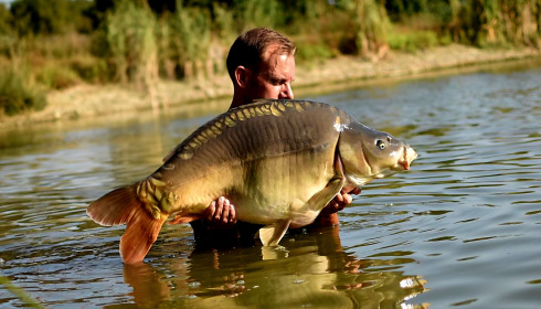 A carp from Heart Lake, Aug 2026