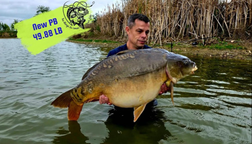 A carp from Heart Lake, Oct 2026