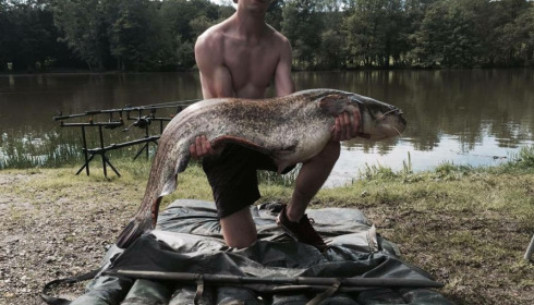 A catfish from Autels, Oct 2020