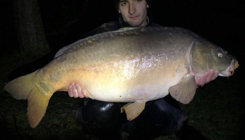 A carp from Autels, Oct 2020