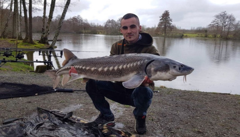 A sturgeon from Autels, Oct 2020
