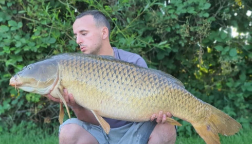 A carp from Autels, Aug 2020
