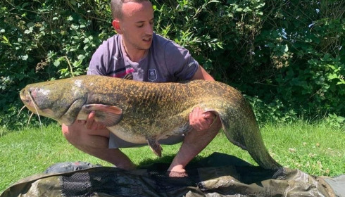 A catfish from Autels, Aug 2020
