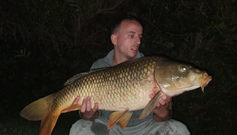 A carp from Autels, Aug 2020
