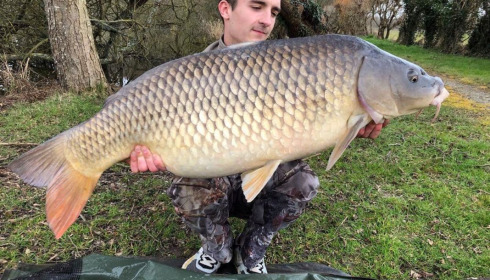A carp from Autels, Oct 2020