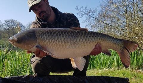 A grass carp from Autels, Oct 2020
