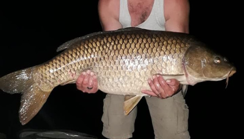 A carp from Autels, Oct 2020