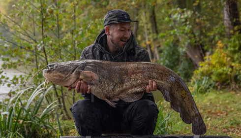 A catfish from Autels, Jamie Bellhouse, Oct 2020