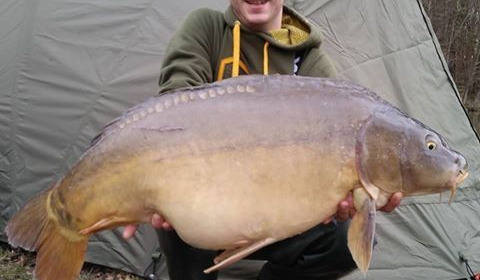 A carp from Autels, Oct 2020